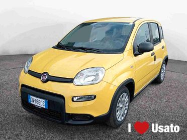 FIAT Panda III 2024 - Panda 1.0 firefly hybrid s&s 70cv