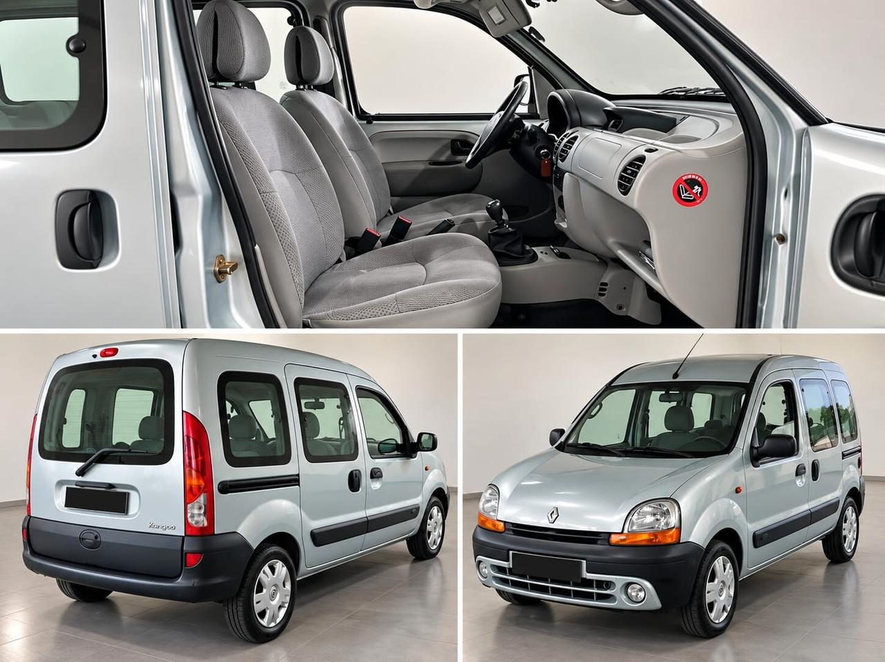 Renault Kangoo 1.2 benzina Multispazio 16V cat 5 porte Privilège