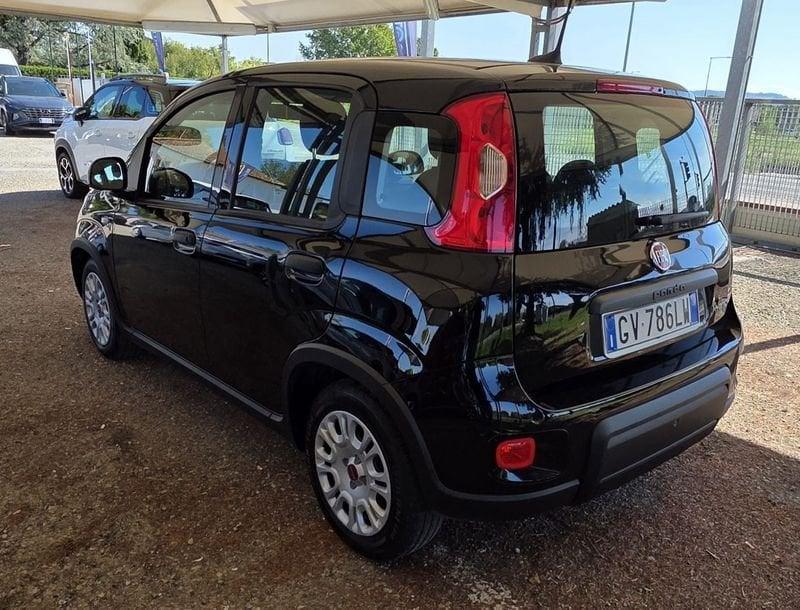 FIAT Panda Panda 1.0 firefly hybrid s&s 70cv 5p.ti