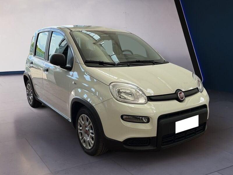 FIAT Panda My23 1.0 70cv Hybrid Panda