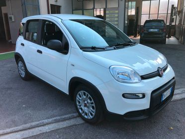 Fiat Panda 1.0 FireFly S&S Hybrid City Life ANNO 2023