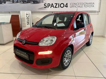 FIAT Panda 1.0 70cv S&S Hybrid E6d-T Easy