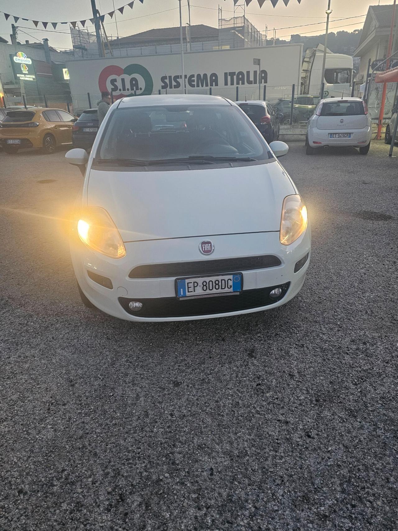 Fiat Punto 1.4 8V 5 porte Natural Power Street