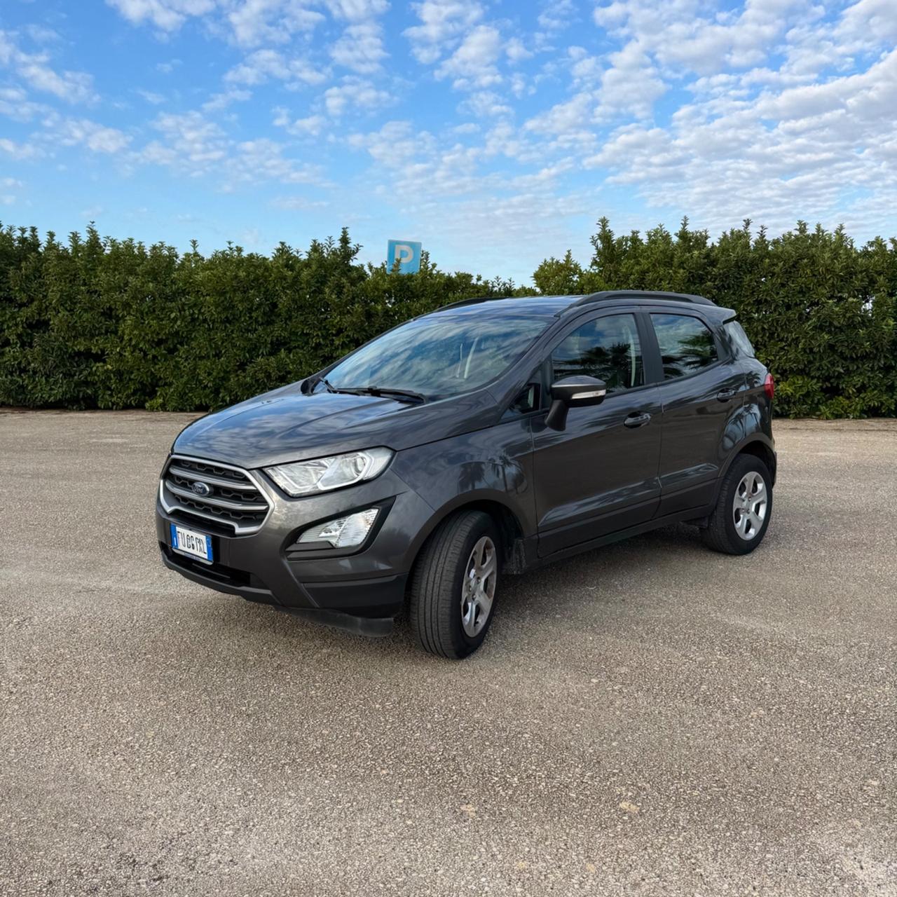 Ford EcoSport 1.0 EcoBoost 125 CV Start&Stop aut. Business