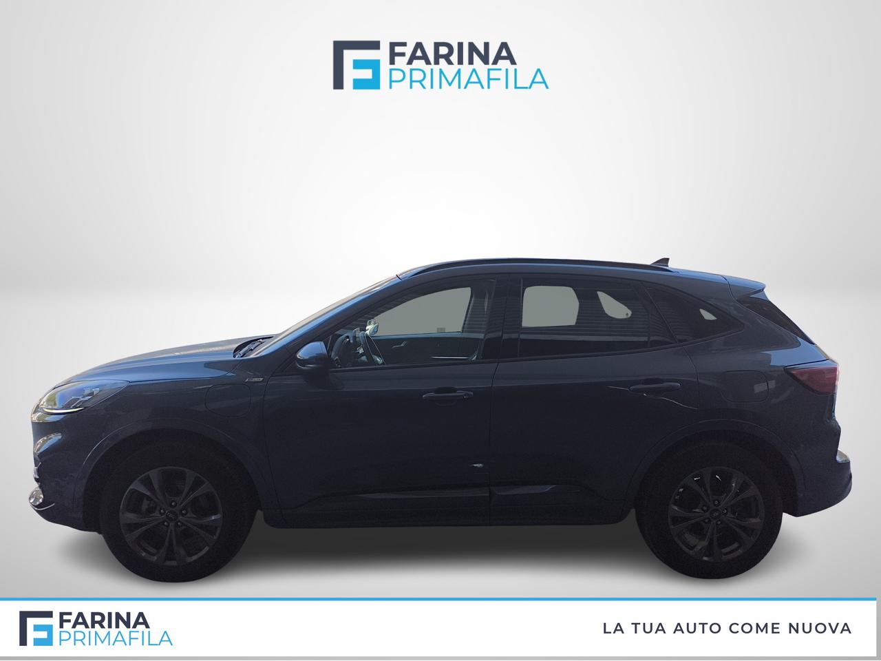 FORD Kuga III 2020 - Kuga 2.5 phev ST-Line X 2wd 225cv cvt