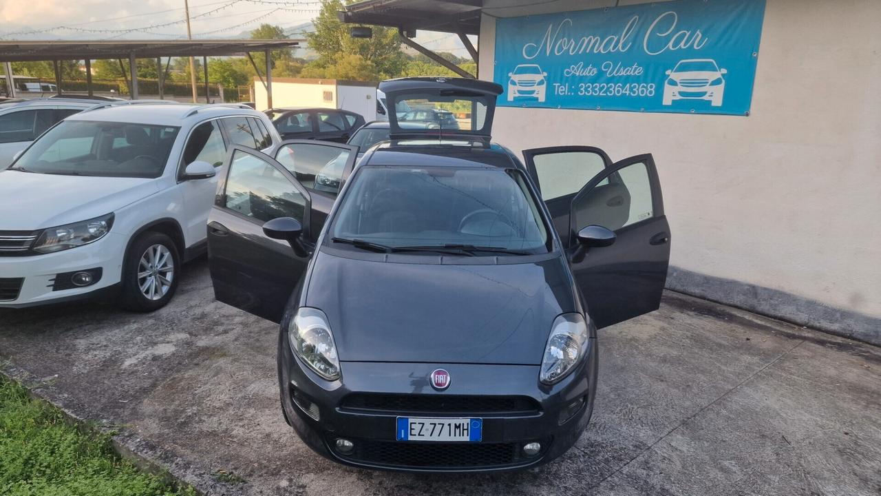 Fiat Punto 1.2 8V 5 porte Street - 2015 "ottime condiz."