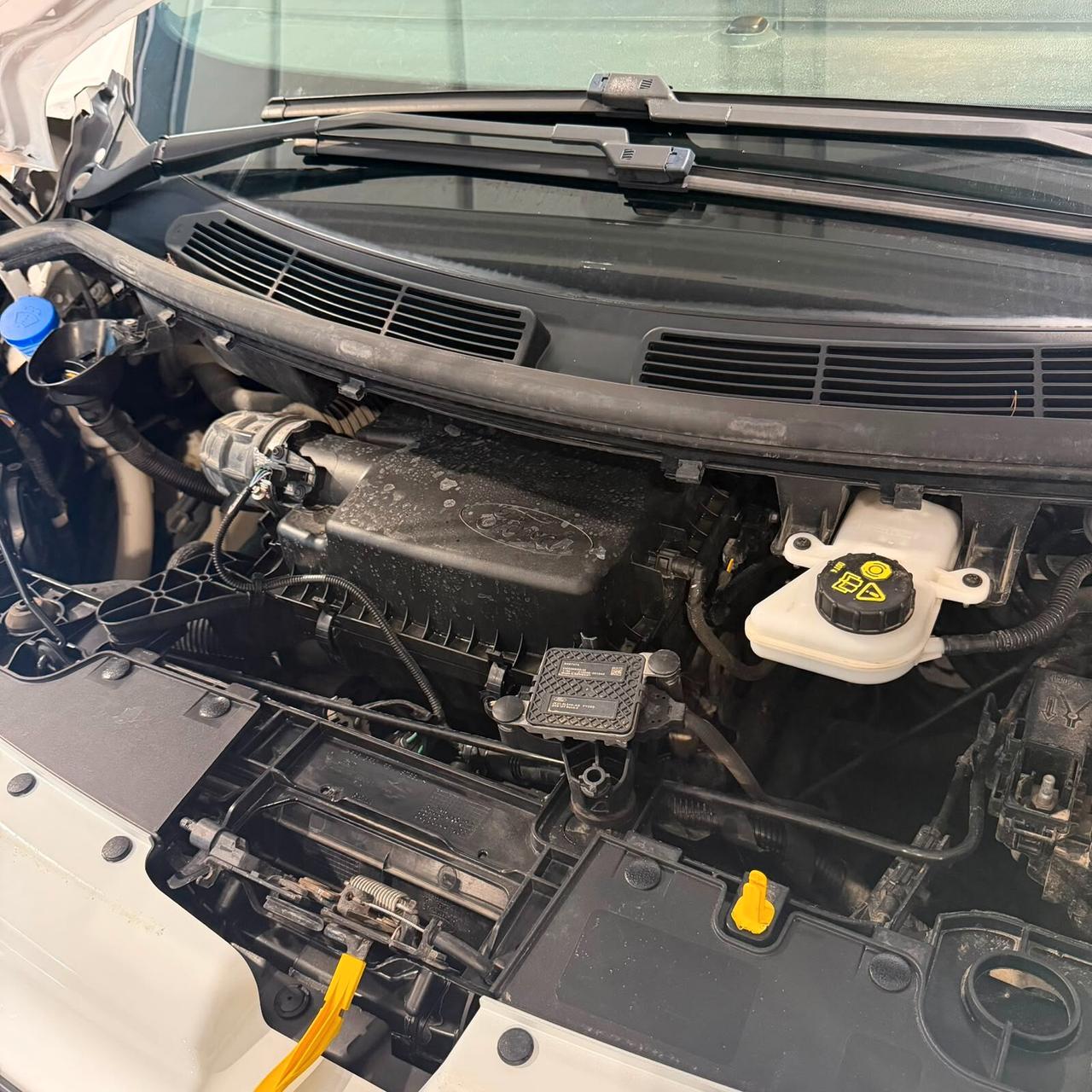 CUSTOM 2.0 L2H1 DOPPIA PORTA LAT