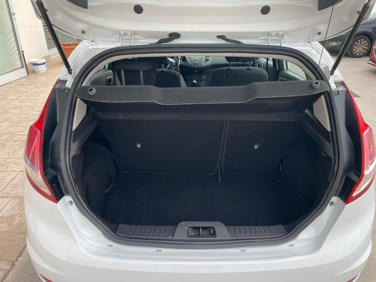 Ford Fiesta 1.2 5 porte Black & White Edition neopatentati