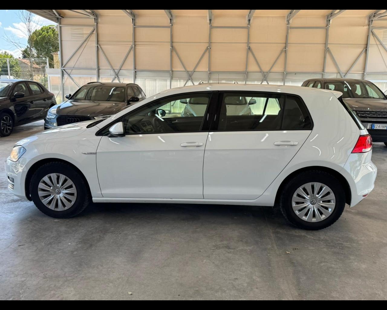 VOLKSWAGEN Golf 7ª serie - Golf 1.4 TGI 5p. Trendline BlueMotion
