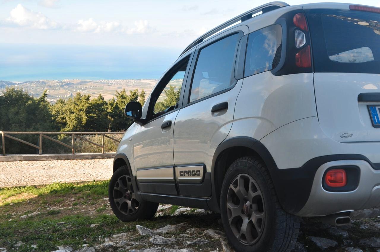 Fiat Panda Cross 1.3 MJT 95 CV S&S 4x4