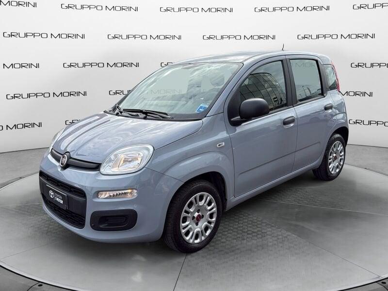 FIAT Panda Panda 1.2 Easy
