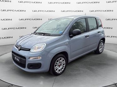 FIAT Panda Panda 1.2 Easy