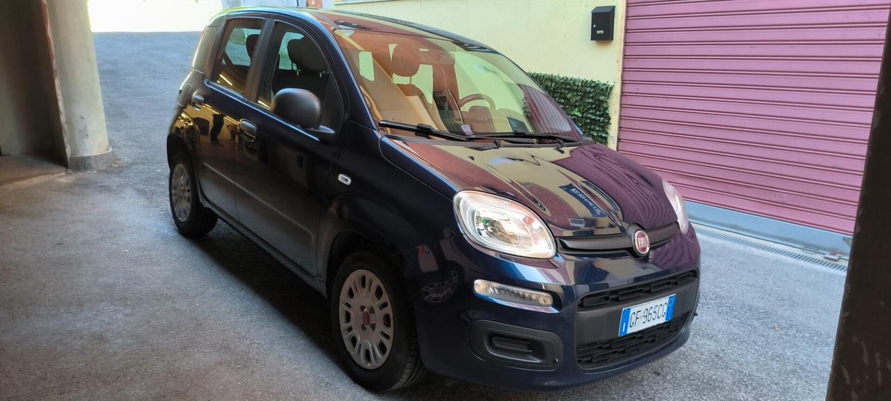 Fiat Panda 1.0 FireFly S&S Hybrid passaggio in omaggio per luglio