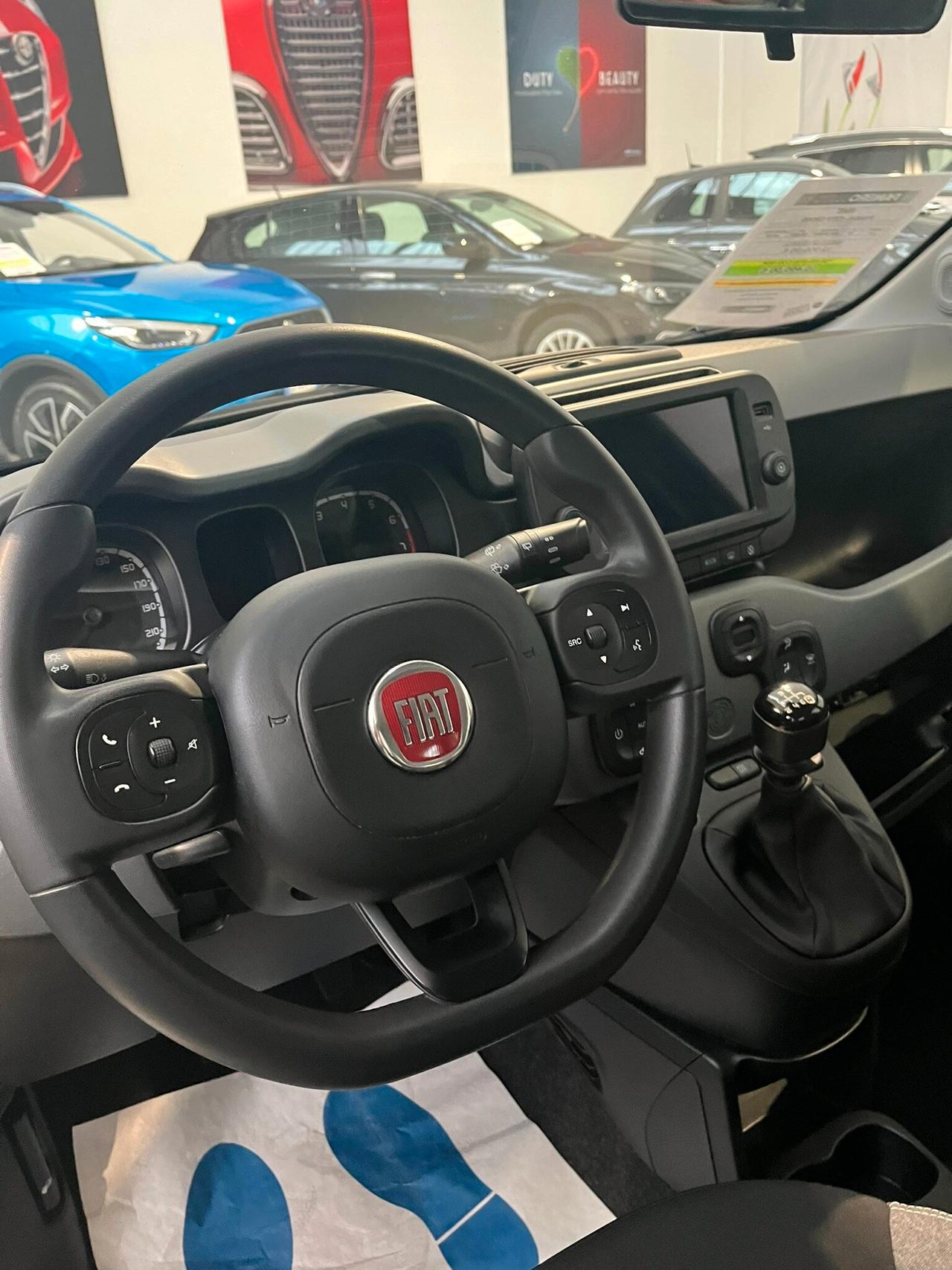 FIAT Panda 3ª serie Panda 1.0 FireFly S&S Hybr...