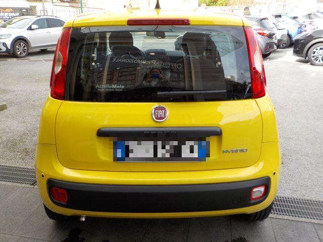FIAT Panda MY25 - 1.0 FireFly Hybrid ICON