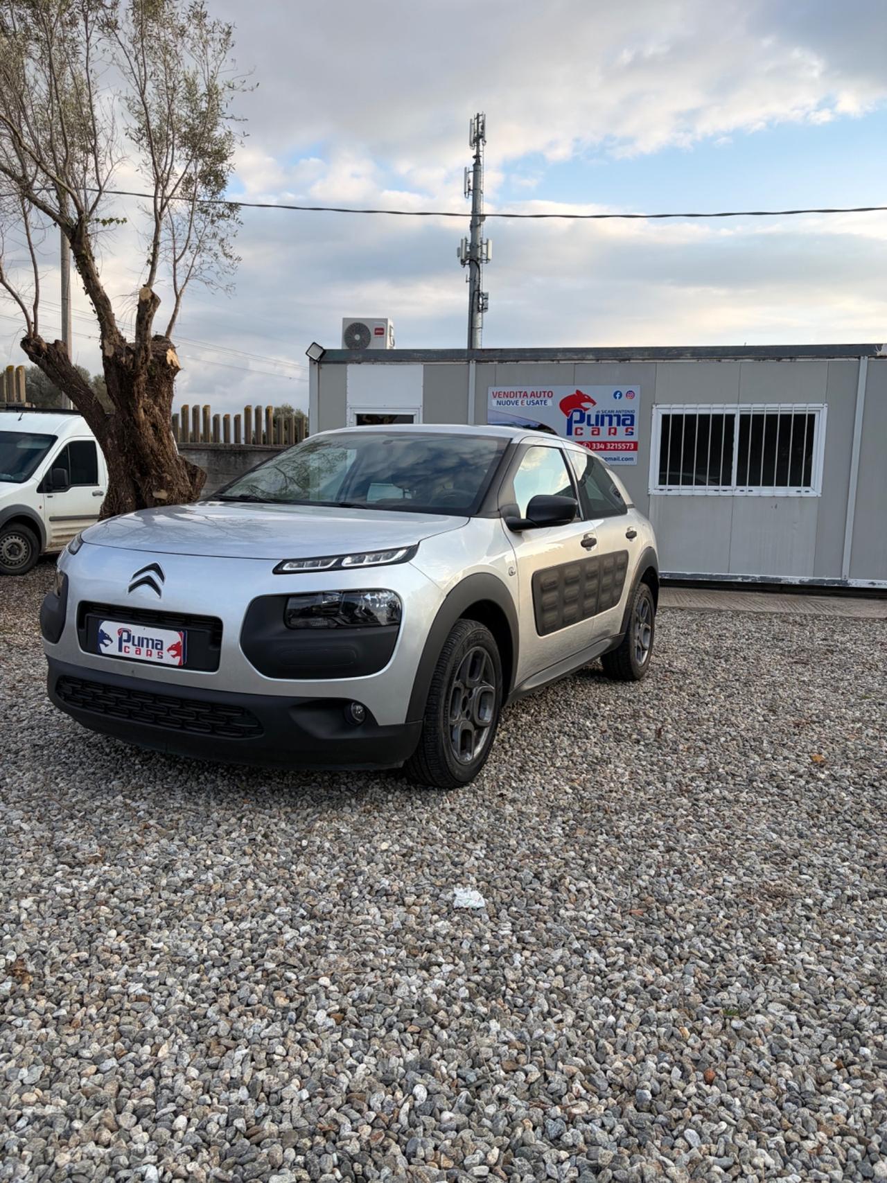 Citroen C4 Cactus BlueHDi 100 Shine