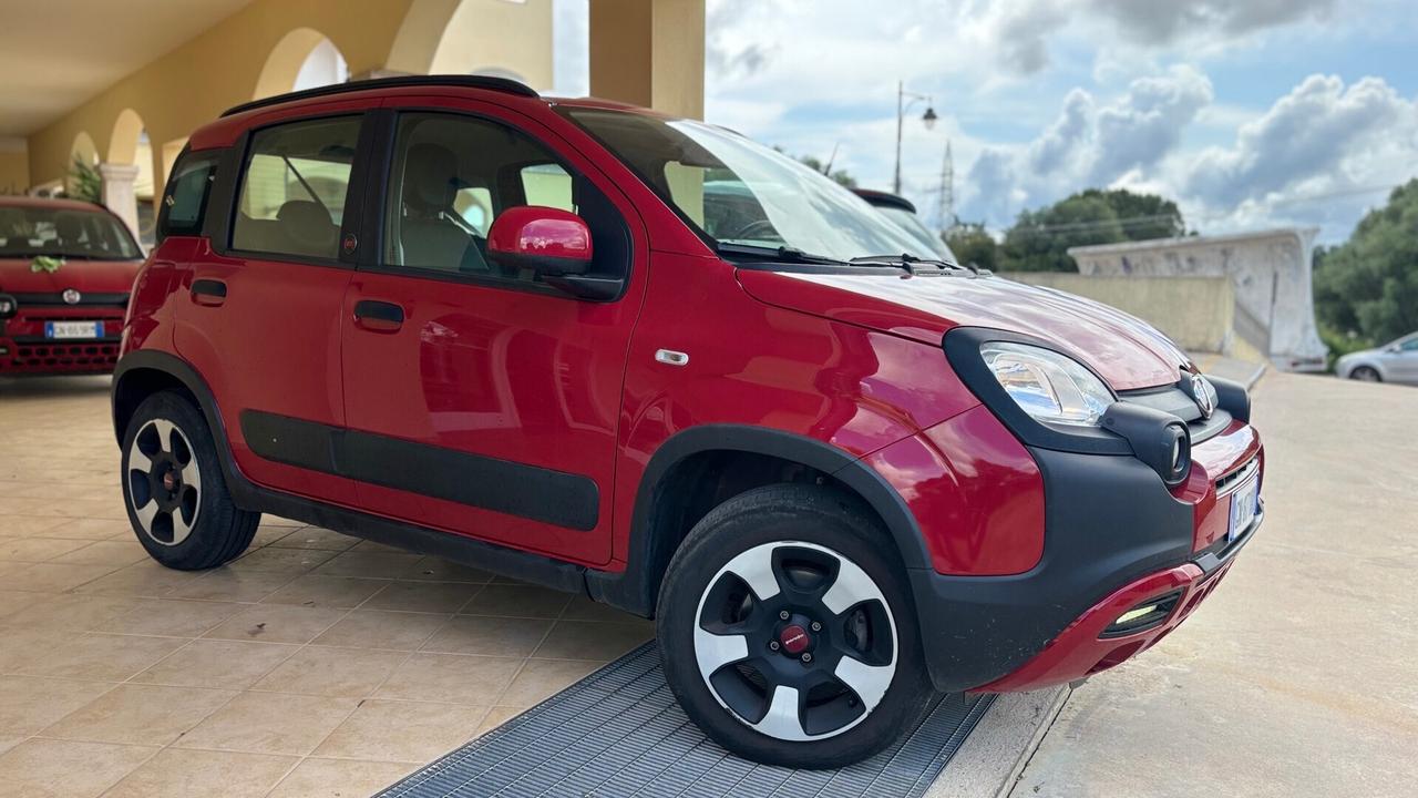 Fiat Panda Cross 1.0 FireFly S&S Hybrid