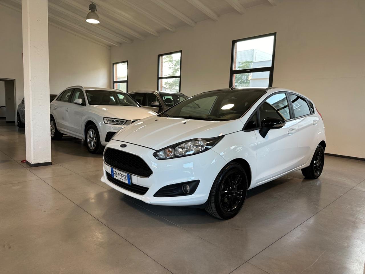 Ford Fiesta 1.4 5 porte Bz.- GPL Black & White Edition