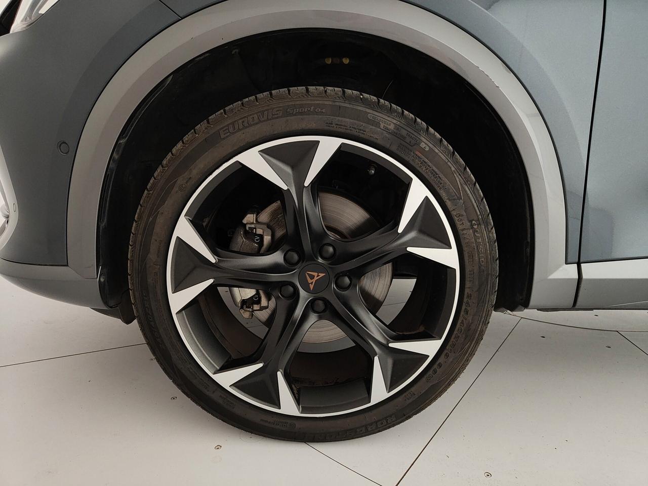 Cupra Formentor 2.0 TDI