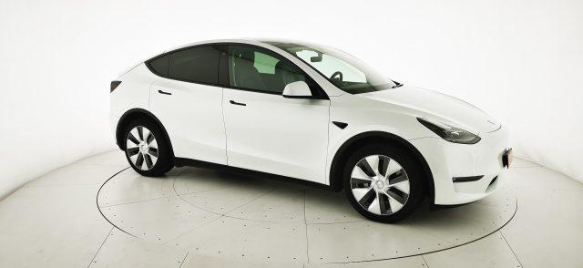 TESLA Model Y Long Raange AWD Dual Motor