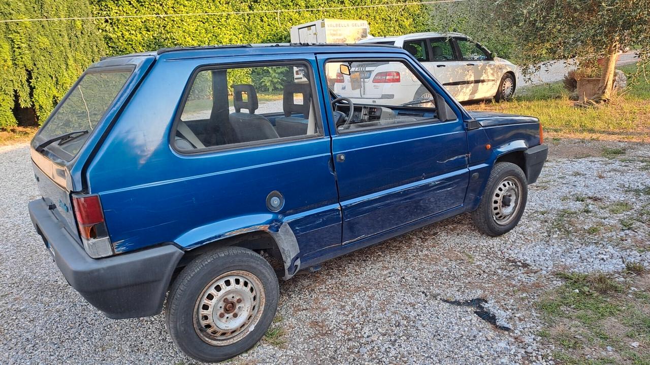 Fiat Panda 900i cat
