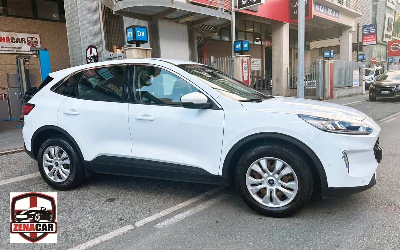 Ford Kuga 1.5 EcoBlue 120 CV 2WD Titanium
