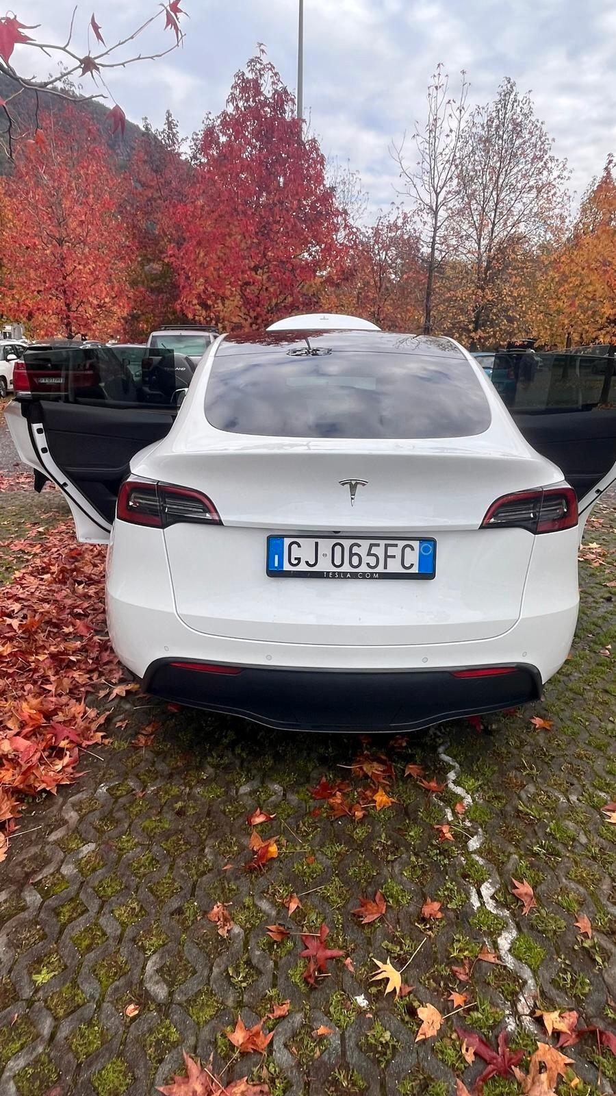 Tesla Model Y Model Y Long Range AWD