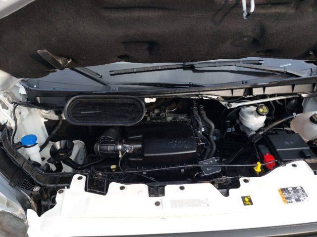 FORD Transit 350 2.0TDCi EcoBlue MHEV 130CV PM-TM Furgone Trend