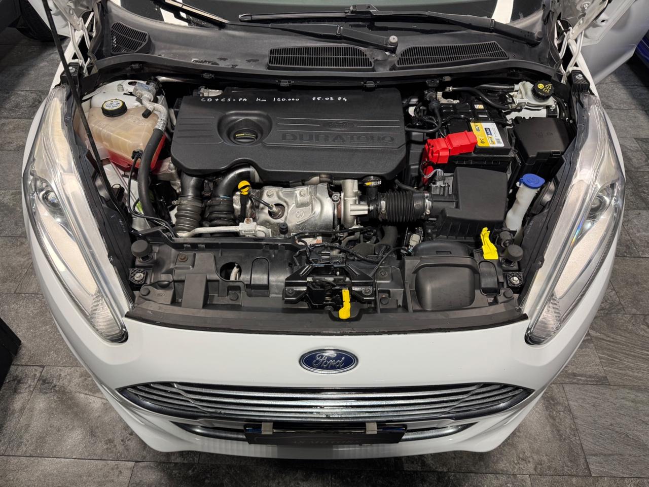 Ford Fiesta 1.5 TDCi 75CV 5 porte Titanium