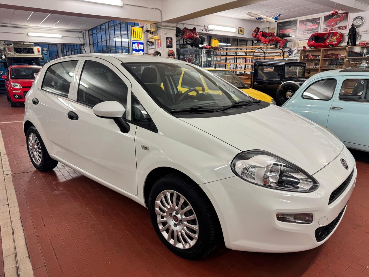 Fiat Punto 1.2 8V 5 porte Young