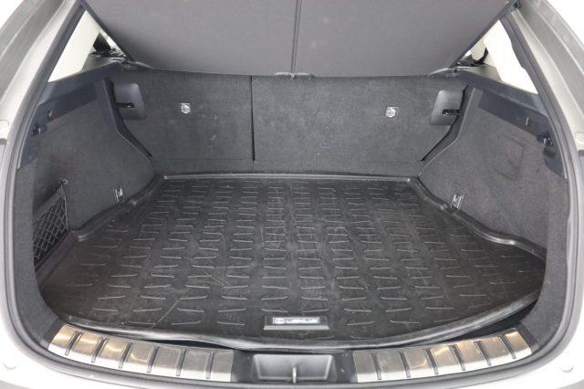 LEXUS Other NX NX Hybrid 4WD Premium +
