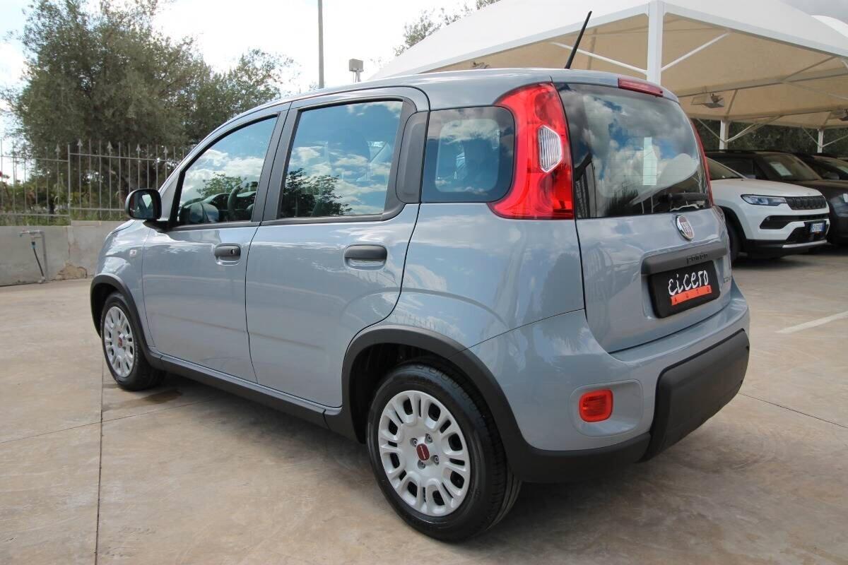 Fiat Panda 1.0 Hybrid City Life 70|36.900km|2023