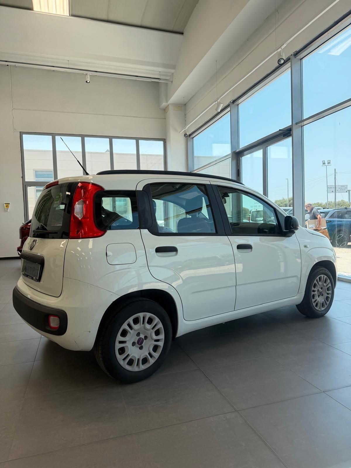 Fiat Panda 1.2 Lounge 69 cv