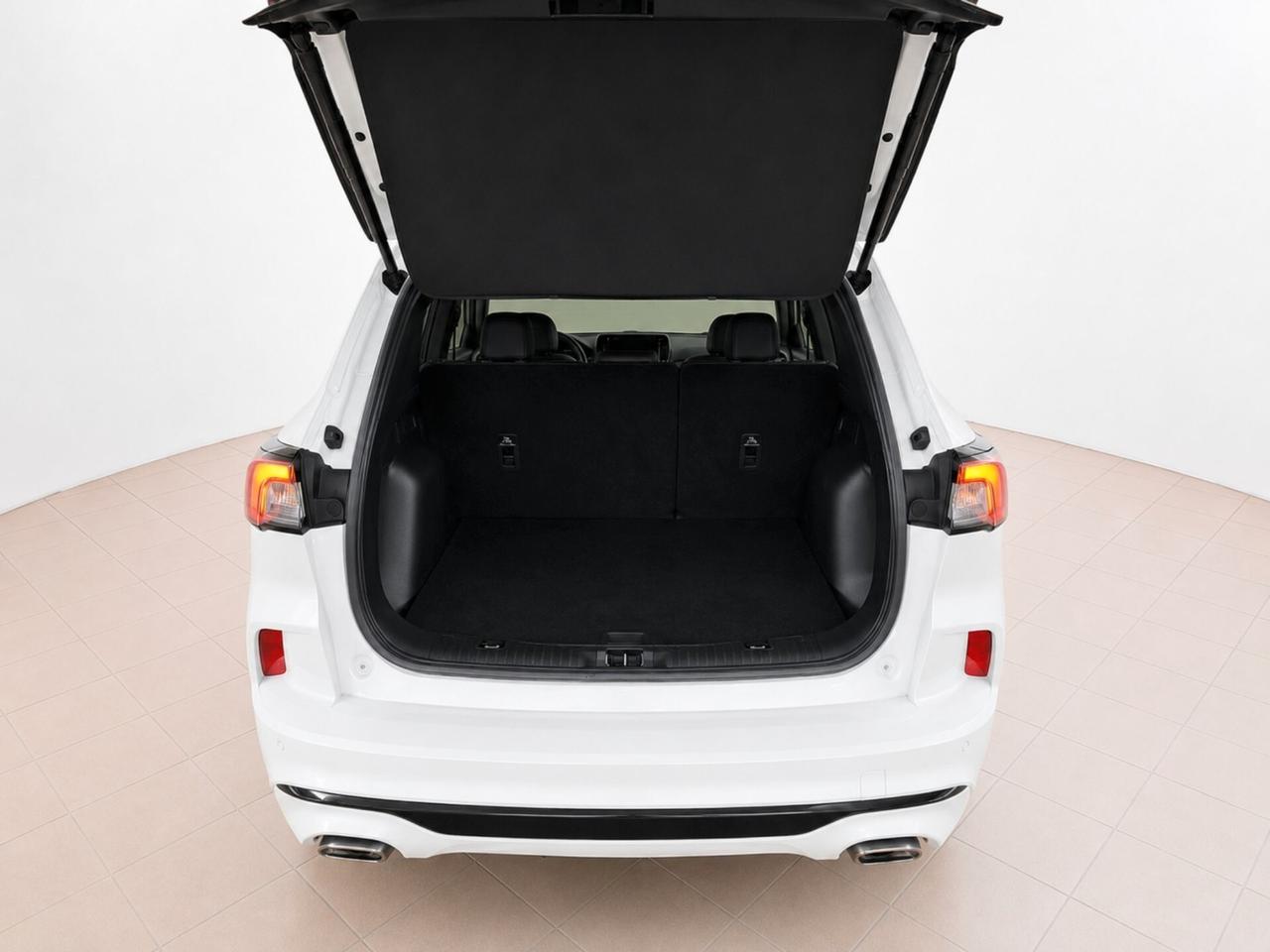 Ford Kuga 2.0 EcoBlue 150 CV aut. AWD ST-Line