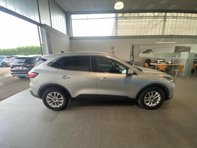 FORD Kuga 1.5 EcoBlue 120 CV 2WD Titanium