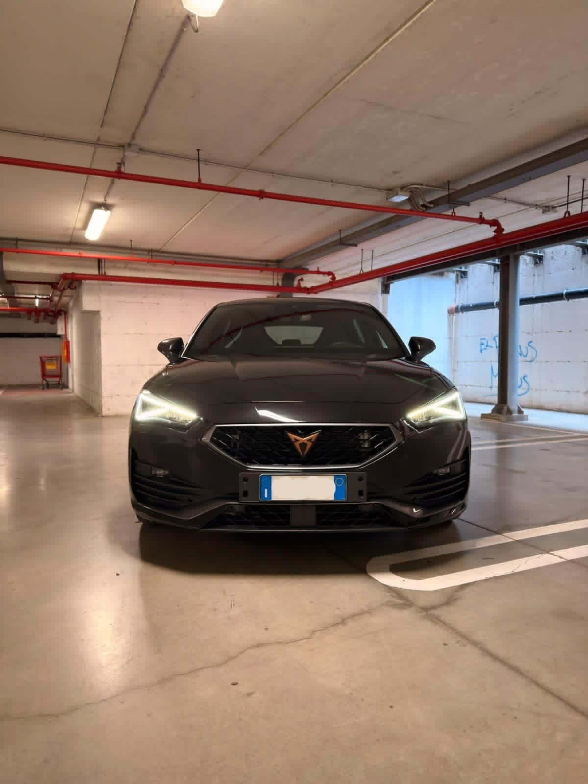 Cupra Leon 2.0 TDI 150 CV DSG