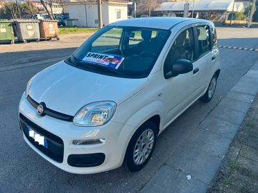 Fiat Panda 1.2 69 CV AUTORADIO ARIA CONDIZIONATA