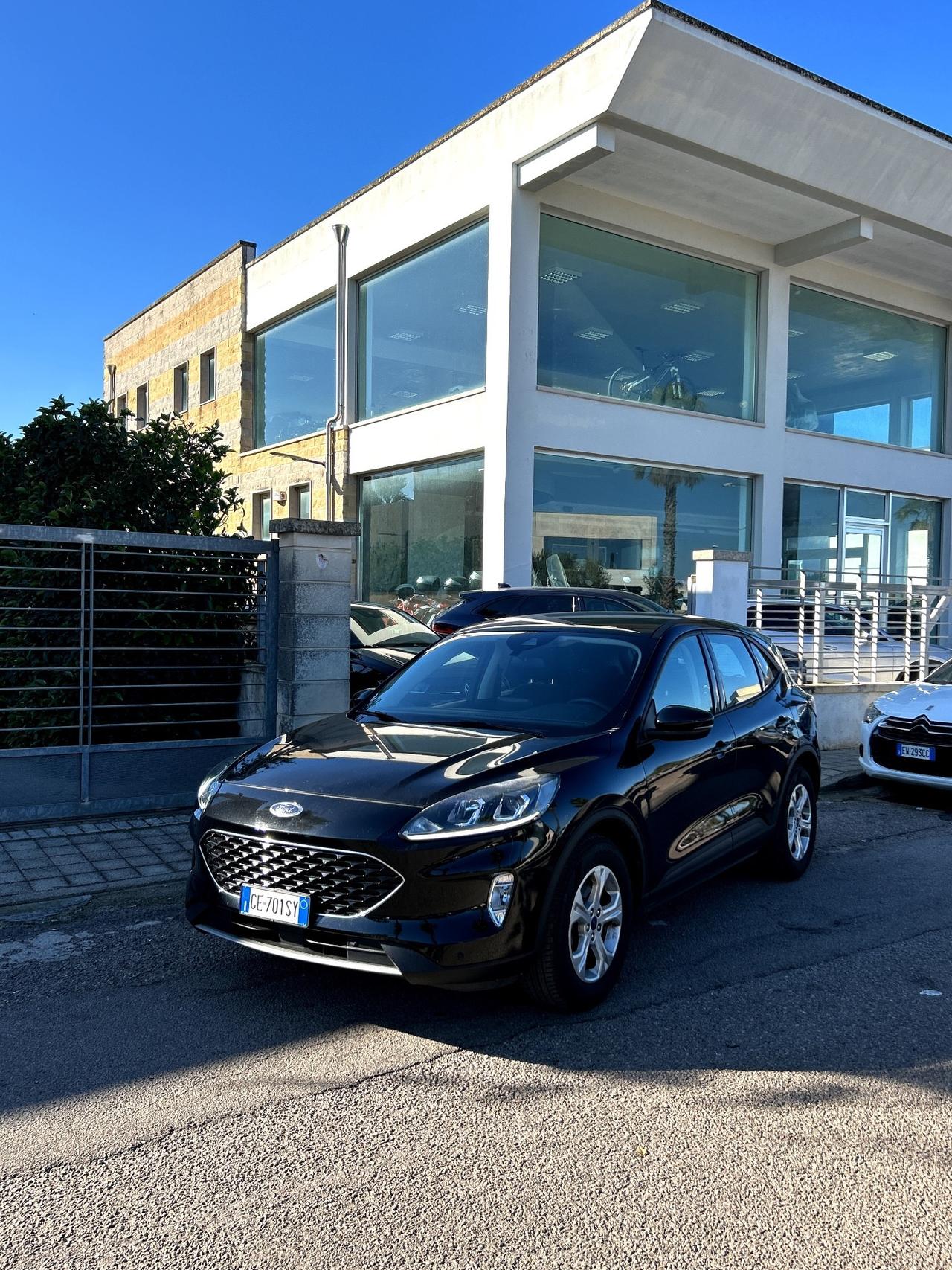 Ford Kuga 1.5 EcoBlue 120 CV 2WD Titanium Business