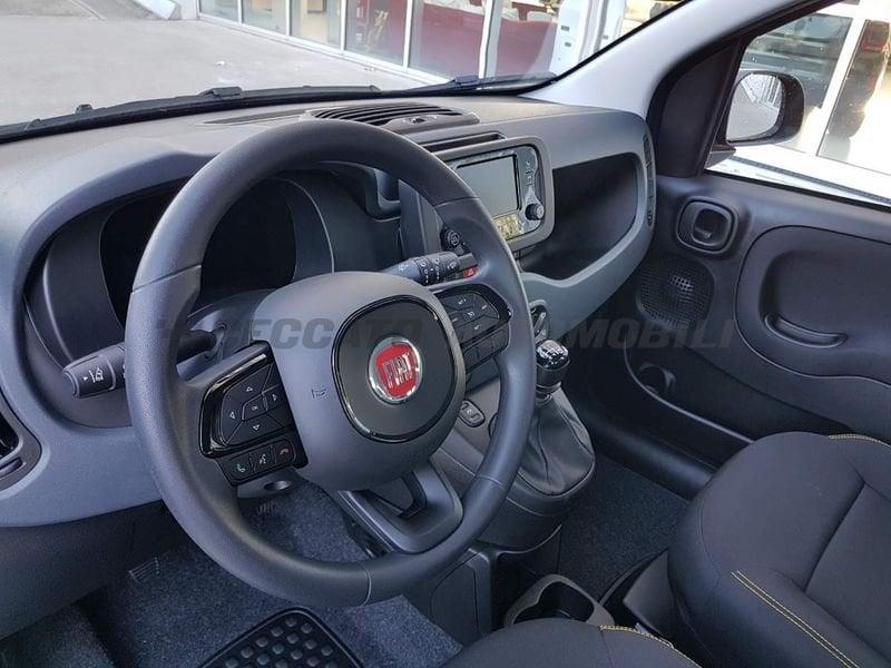 FIAT Panda Panda 1.0 70cv Hybrid Panda