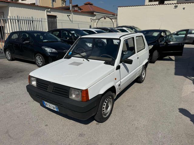 FIAT Panda 1ª serie 900 i.e. cat Young