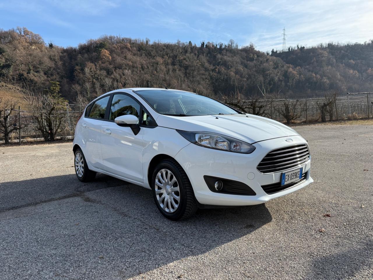 Ford Fiesta 1.2 60CV 5 porte Titanium