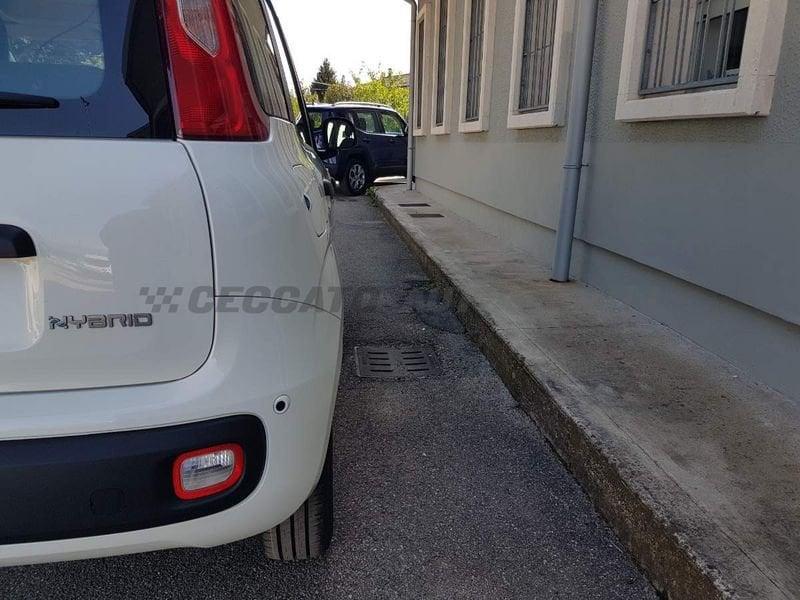 FIAT Panda Panda 1.0 firefly hybrid s&s 70cv