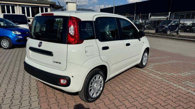 FIAT Pandina 1.0 FireFly Hybrid 65cv POP KMO
