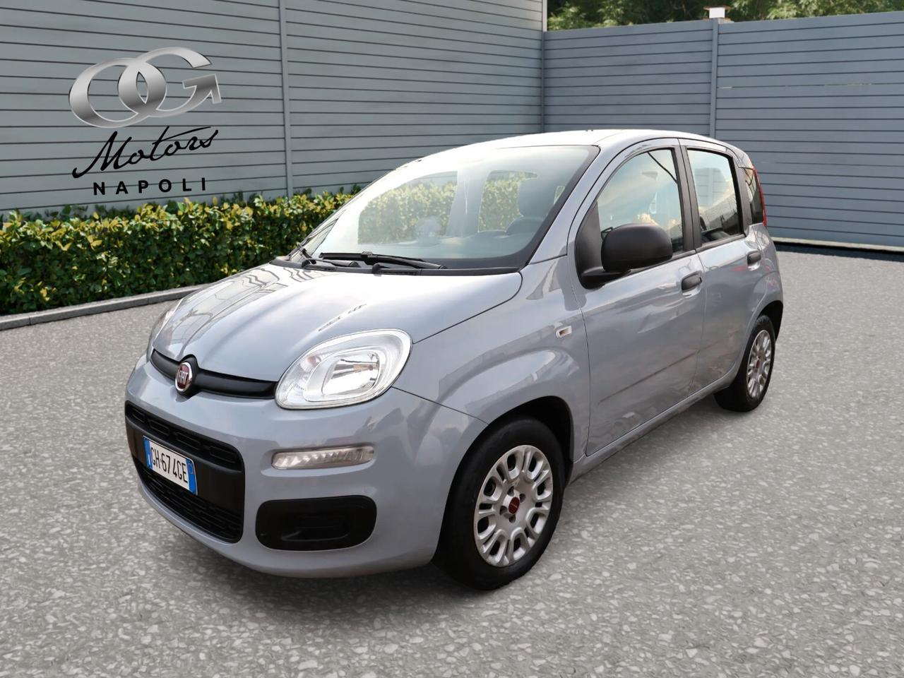 FIAT Panda 1.0cc Firefly 70cv s&s Hybrid 5 Posti