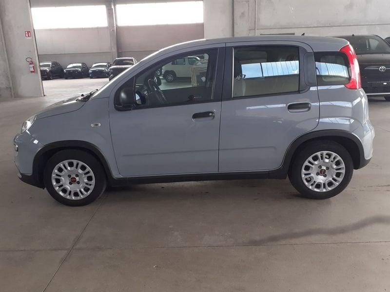 FIAT Panda Panda 1.0 FireFly S&S Hybrid City Life