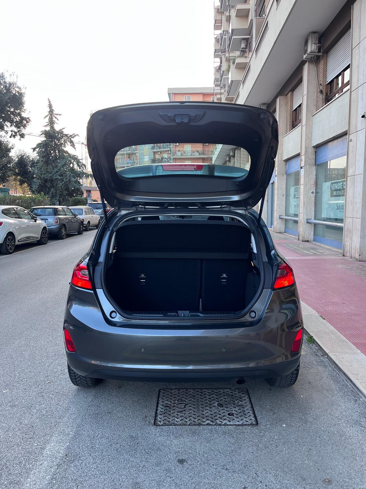 Ford Fiesta 1.1 75 CV 5 porte Titanium