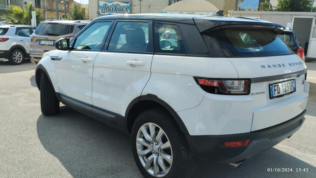 Land Rover Range Rover Evoque Range Rover Evoque 2.0 TD4 150 CV 5p. Business Edition