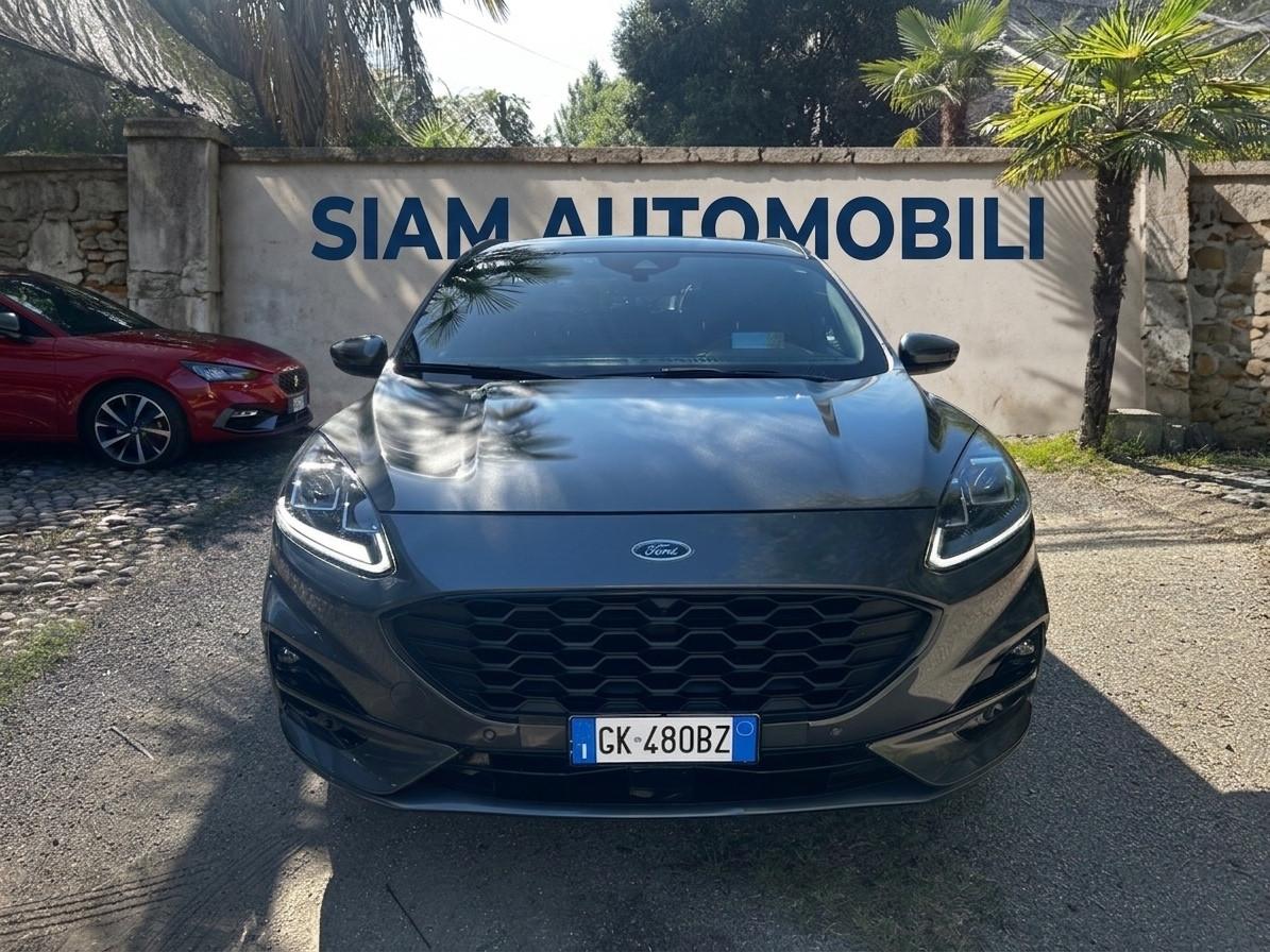 Ford Kuga 1.5 EcoBlue 120 CV aut. 2WD ST-Line