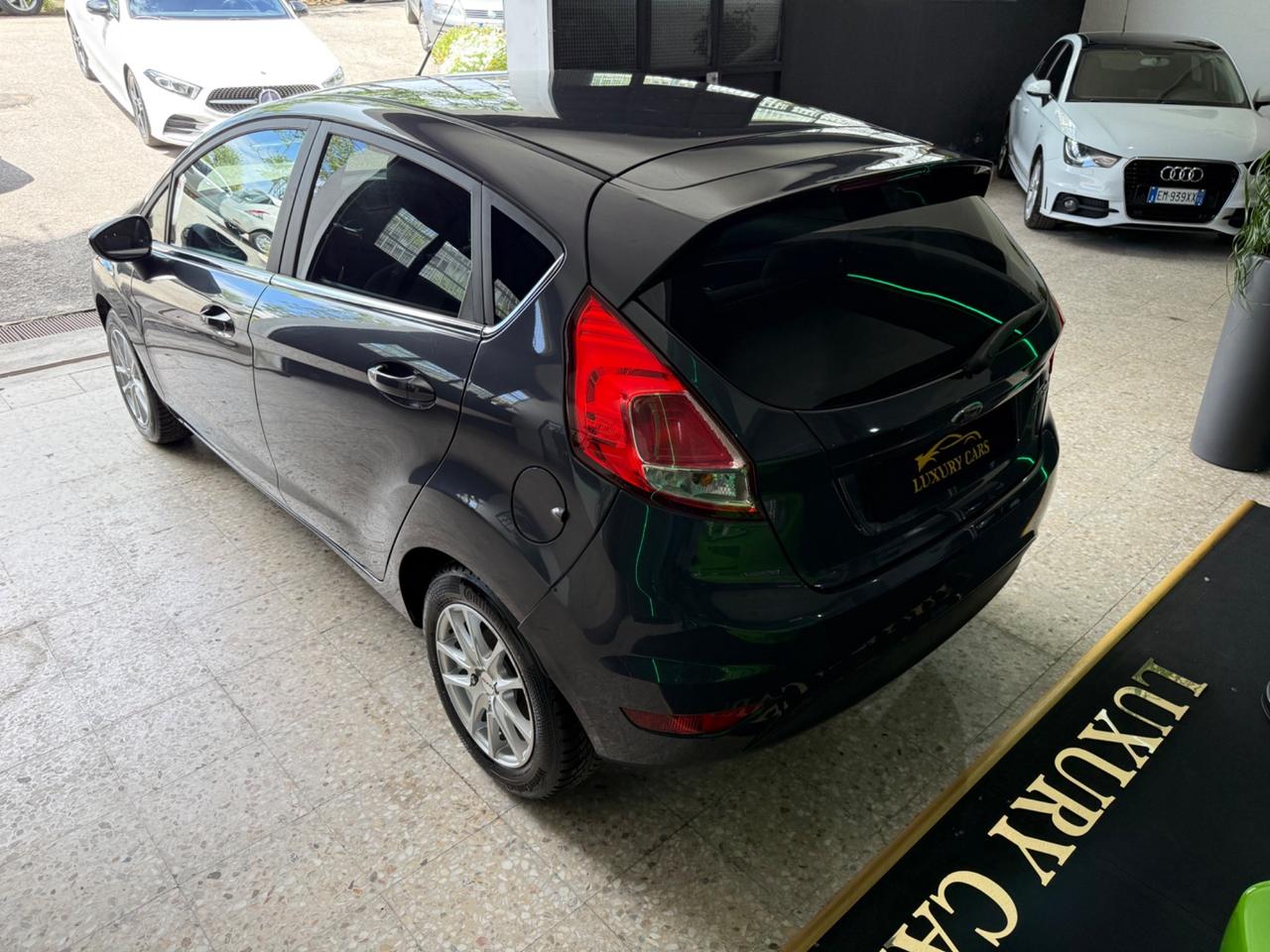 Ford Fiesta 1.5 TDCi 75CV 5 porte Titanium 2015
