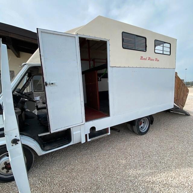 Fiat daily trasporto cavalli 2 posti PATENTE B